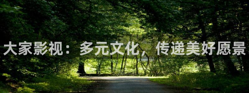 三级99视频：大家影视：多元文化，传递美好愿景