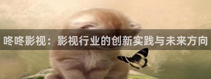 99视频在线看：咚咚影视：影视行业的创新实践与未来方向