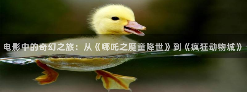 99视频,：电影中的奇幻之旅：从《哪吒之魔童降世》到《疯狂动物城》