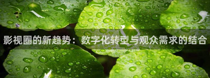 99视频污：影视圈的新趋势：数字化转型与观众需求的结合